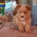 Marilynn Bonham - Facebook