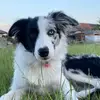 Marilyn_border - @marilyn_border - TikTok