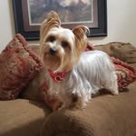 Marilyn Borders - @marilyn.borders.12 - Instagram