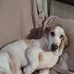 Marilyn Bowen - Facebook
