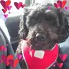 Marilyn Box - @marilyn.box7 - TikTok