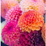 Marilyn Boyer - @marilyn.boyer.75491 - Instagram