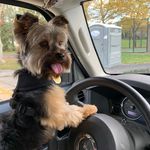 Marilyn Diane Boyer-Wilder - @marilyndianeboyerwilder - Instagram