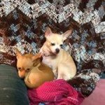 Marilyn Braddock - @marilyn1938 - Instagram