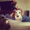 Marilyn “Mari” Braden - @marilyn.mari.brad - TikTok