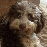 Marilyn Breen-Durand - @marilynbdurand - Instagram