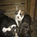 Marilyn Brill - Facebook