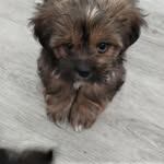 Marilyn Brink - @rdnlocks - Instagram