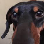Marilyn Brinker - @brinkermarilyn - Instagram