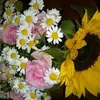 marilynbrinkmannbasa - @marilynbrinkmannbasa - TikTok