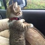 Marilyn Allbritton - @marilynallbritton - Instagram