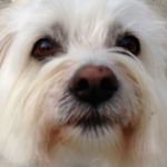 Marilyn Britton - @auntm43 - Instagram