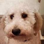Marilyn Bryant - @marilynbryant7082 - Instagram