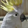Marilyn Butcher - @marilyn.butcher - TikTok