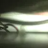 Marilyne Buford - @marilyne.buford - TikTok