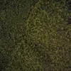 merilyn.buford - @merilyn.buford - TikTok