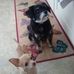 Marilyn Bunn - Facebook