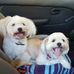 Marilyn Burnell - Facebook