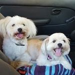 Marilyn Burnell - @marilyn.burnell.1 - Instagram