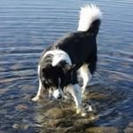 Marilyn Burroughs - @marilyn.burroughs.90 - Instagram