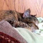 Marilyn Burrows - @burrowsmarilyn - Instagram