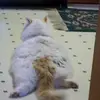 Marilyn Butcher Burrows - @marilyn.butcher.b - TikTok