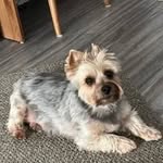 Marilyn Callaghan - @callaghan_marilyn - Instagram