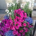 Marilyn Carlson - @marilyncarlson70 - Instagram