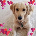 Marilyn Carlson - @marilyn.carlson.142 - Instagram