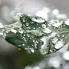 carmichaelmarilyn - @carmichaelmarilyn - TikTok
