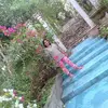 marilynboncato - @marilynboncato - TikTok