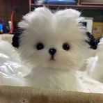 Marilyn Chen - Facebook