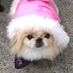 Marilyn Henninger - @chuckmarilynhenn - Instagram