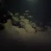 Marilyn Cisneros - @marilyn.cisneros6 - TikTok