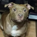 Marilyn Coburn - @marilyn.coburn - Instagram