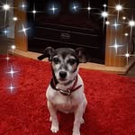 Marilyn Coburn - @marilyn.coburn.351 - Instagram