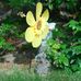 Maralyn Coe - Facebook
