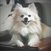 Marilyn Conklin - Facebook