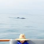 Marilyn Conklin - @msconk - Instagram