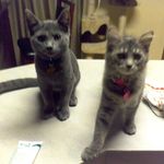 marilyn conklin - @marilynconklin2 - Instagram