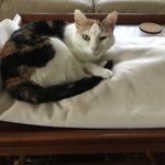 Marilyn Conklin - @grampyswife - Instagram