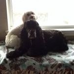 Marilyn K Conklin - @txmarilyn - Instagram