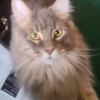 marilynconn288 - @marilynconn288 - TikTok