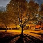 Marilyn Conover - @marilynconover79 - Instagram