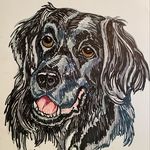 Marilyn Coon - @mcoonl - Instagram