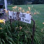 Marilyn Cornett - @cornett2840 - Instagram