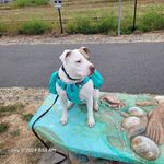 Marilyn Cottrell - @cottrellmarilyn - Instagram
