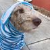 Marilyn Cottrell - Facebook