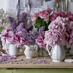 Marilyn Greybill Covington - @mgcoving - Instagram