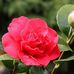 Marilyn Crabb - Facebook